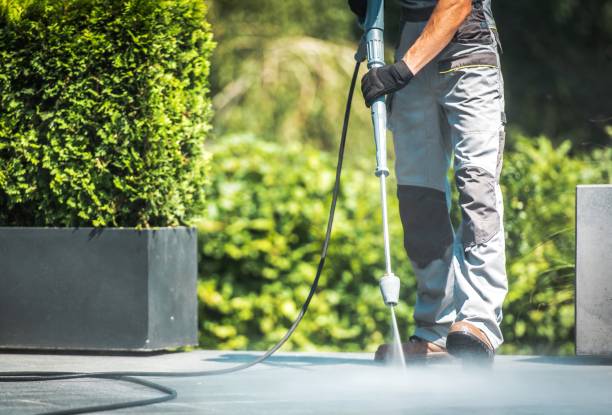 Best Roof Washing  in Carbondale, IL