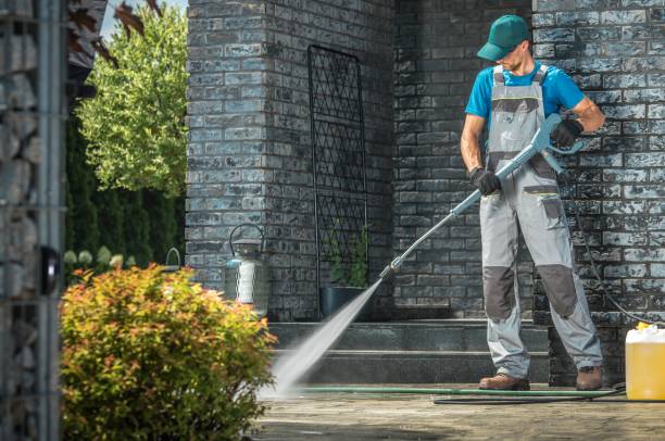 Best Solar Panel Cleaning  in Carbondale, IL